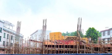 單次使用建筑模板價格多少錢一張？